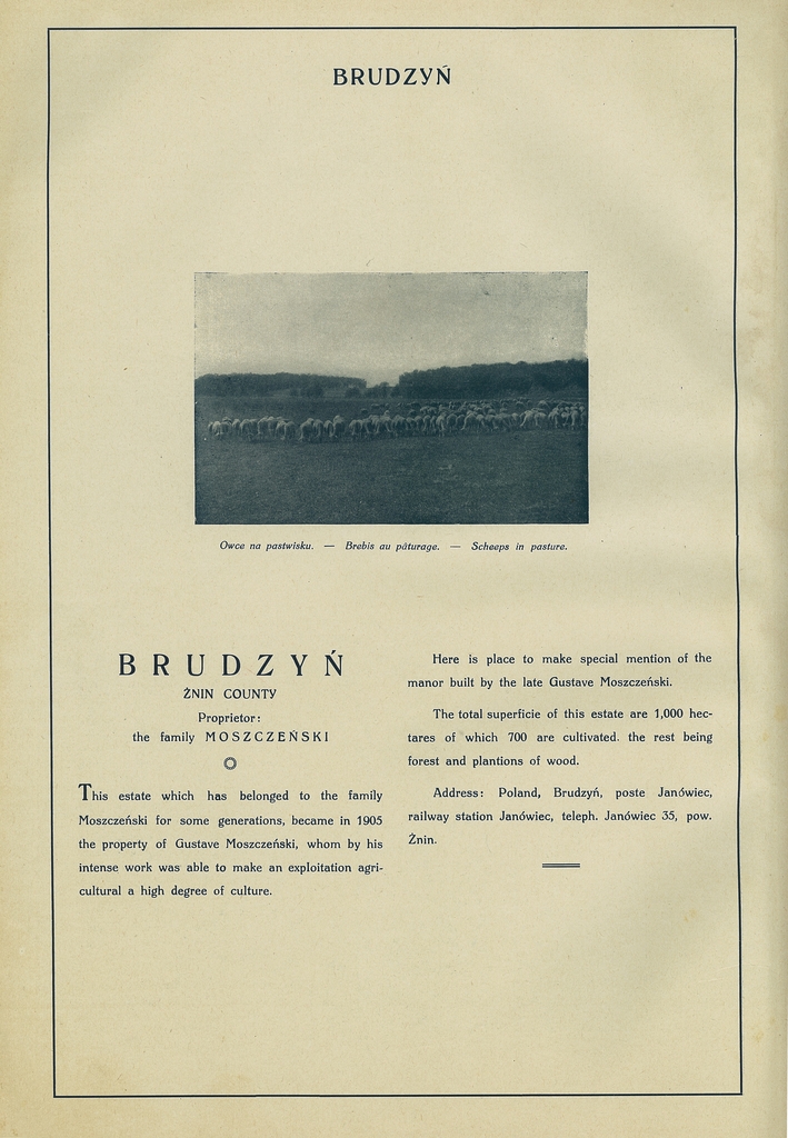 014 brudzyn.jpg